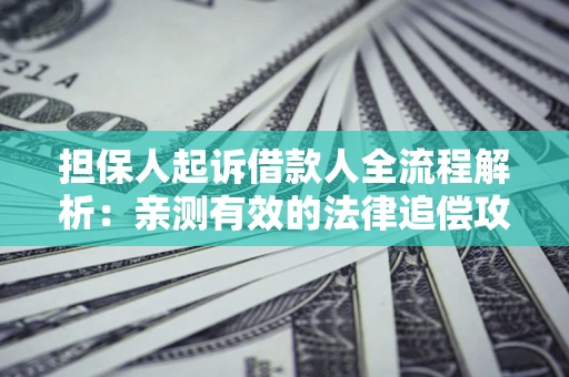 北京担保人起诉借款人全流程解析：亲测有效的法律追偿攻略