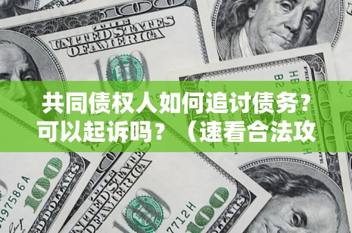 北京共同债权人如何追讨债务？可以起诉吗？（速看合法攻略）