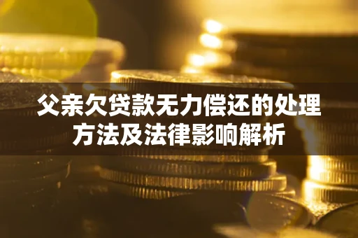 北京父亲欠贷款无力偿还的处理方法及法律影响解析